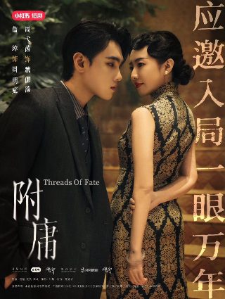 哈尔滨1944电视剧免费版西瓜影视