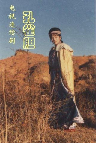 追追追 在线播放