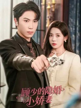 霸道女总裁 百度网盘下载资源链接