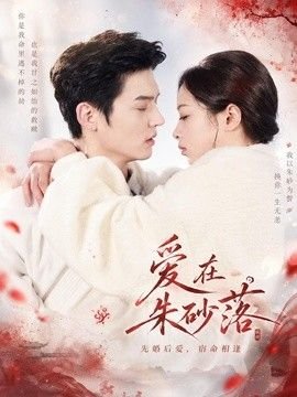 国门英雄下载第19集在线观看免费