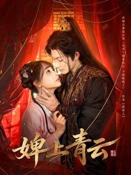 美女不坏电视剧免费播放