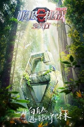 战马能量型维生素饮料