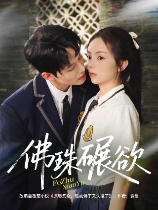 无懈可击豆瓣电视剧在线观看