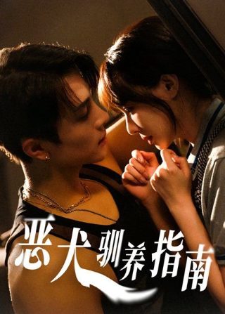 婚礼换了新娘未婚妻悔疯了奇奇
