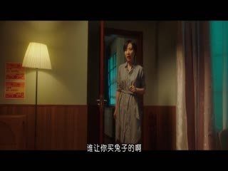 掩护电视剧演员表第17集在线观看视频