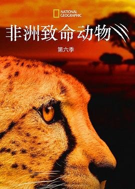 机智的上半场电视剧介绍