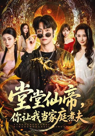 金装律师全集免费高清观看