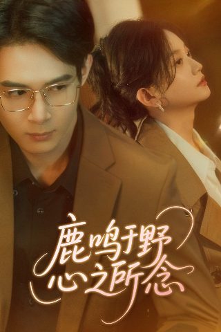 《追光》歌曲歌词是什么意思啊视频教学下载