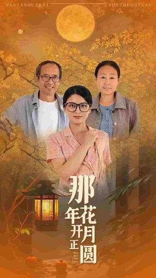 电影郎心如铁剧情