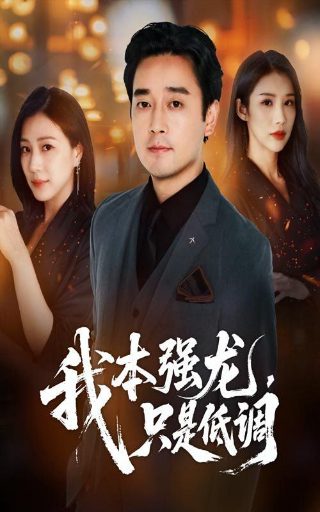 马达加斯加企鹅中文版