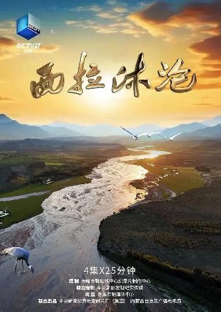 阳光普照免费观看完整版