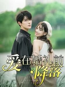 韩国电影《毒战》在线观看中文字幕免费高清版