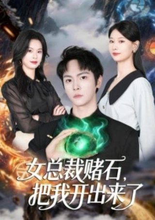 上阳赋电视剧39集