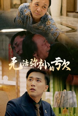 《冰雨火》全集32集观看视频播放网站下载安卓版