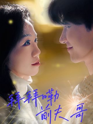 韩剧小小姐们百度百科女主
