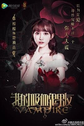 韩剧《旋转木马》国语版全集在线观看