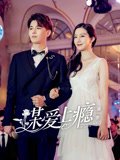 云开曦月震武林免费在线观看