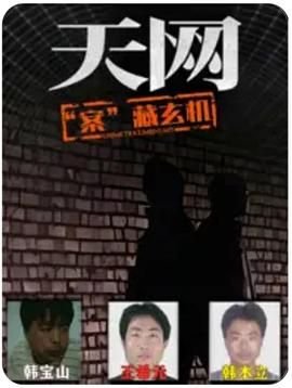 神秘的妻子短剧