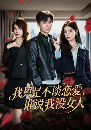只为遇见你 剧情介绍全集百度云下载