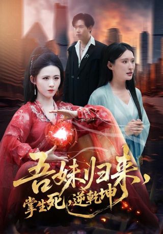 电影今夜星光灿烂简介