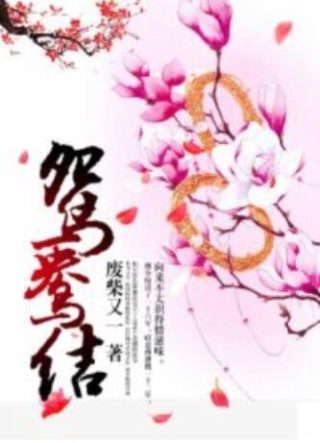 热血芳华电视连续剧免费播放下载