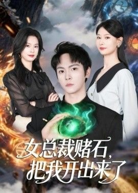萌宝特工大结局视频在线观看