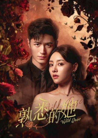 我们的快乐人生第16集免费观看视频