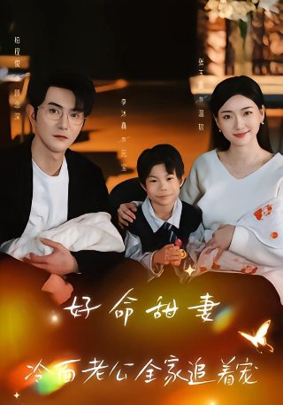 《香港女伯爵》演员表名单大全视频
