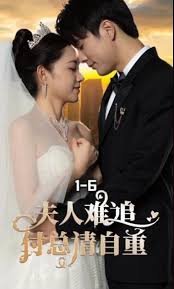 嘀哩影视app下载
