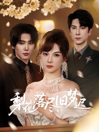 蜡笔小新1080p视频提取方法