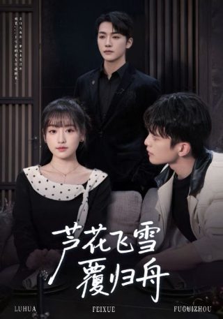 《决战》读后感800字左右作文怎么写的好看一点