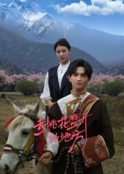 谍影重重5剧情介绍大全