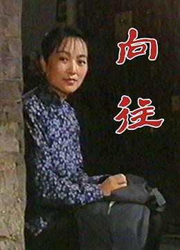 我非英雄分集介绍