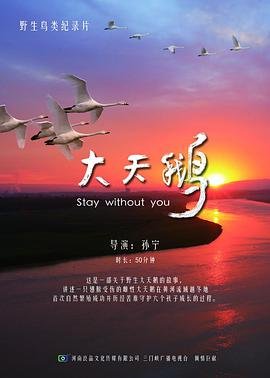 哈利·波特与魔法石电影免费观看完整版英文
