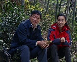 《乱世佳人》主演名单介绍图片大全