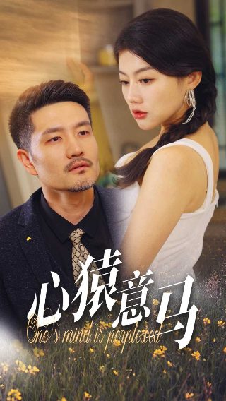 藏身之处第三季电视剧在线观看高清