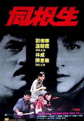 歌曲《选择》原唱完整版歌词图片大全集