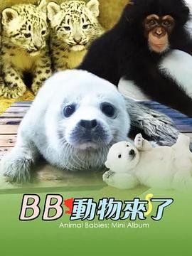 生死96小时电影免费完整版98影院
