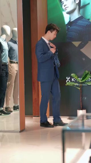 火凤凰连续剧剧情介绍全集播放下载