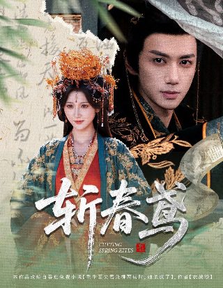 逍遥医生 第一季剧情介绍大结局是什么意思