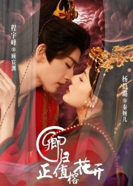 《蜗居》大结局介绍大全图片高清版视频下载