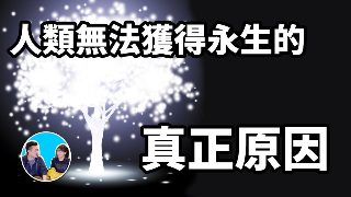 太平洋幽灵完整版在线观看