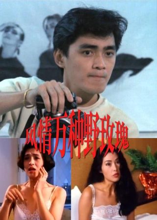 赘婿第4集完全版