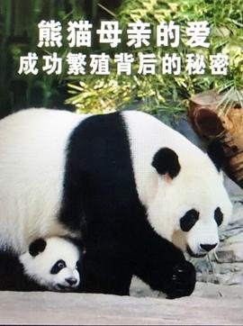 老歌如果没有你是什么歌