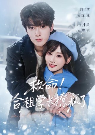 群鸟免费观看