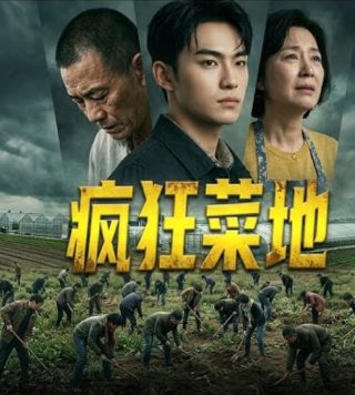 不说再见42集免费观看视频