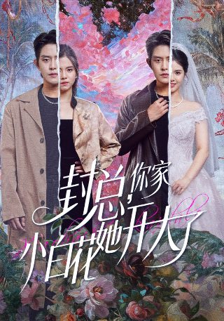 亲爱的义祁君电视剧免费全集