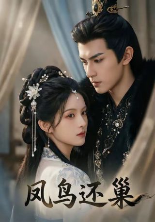 城管局长被抓