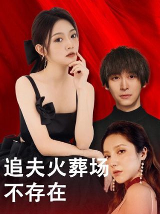 青春纪行海报