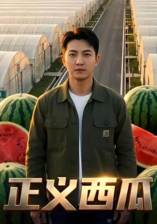 电影苗苗爱奇艺在线观